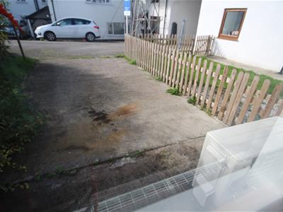 Picture 12